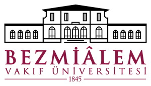 Bezmialem Learn